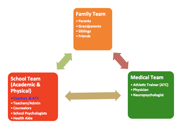 42 Top Pictures Team Management Approach - Multidisciplinary Approach | Sanofi Genzyme Online